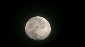 I snapped a pic of the moon last night with my iPhone and telescope