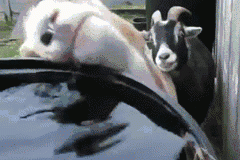 Stay thirsty my friend!﻿