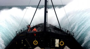 Photo by my childhood friend +Adam Lau